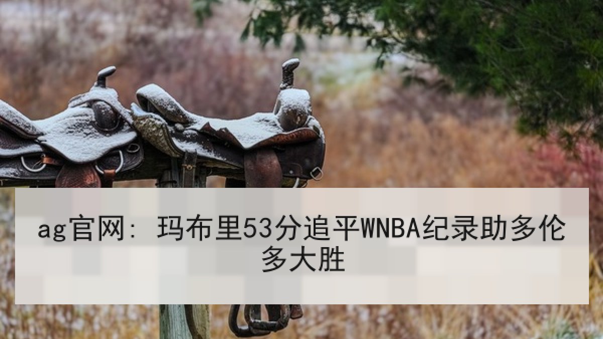 ag官网: 玛布里53分追平WNBA纪录助多伦多大胜