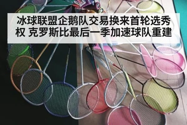 冰球联盟企鹅队交易换来首轮选秀权 克罗斯比最后一季加速球队重建